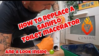 HOW TO REPLACE A SANIFLO Toilet macerator [upl. by Vergne]