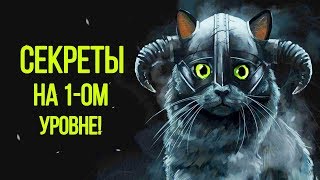 Skyrim  Секреты на 1ом уровне  Секреты 127 [upl. by Bilat]