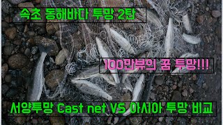 대물이 막잡혀 속초 동해바다 서양 투망 VS 아시아 투망 비교Western cast net VS Asia cast net in Korea east sea [upl. by Yroj336]