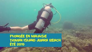 Malaisie  Tioman Island  Juara Beach  Plongée sousmarine [upl. by Greenlee]