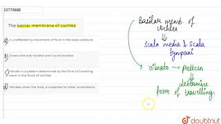 The basilar membrane of cochlea [upl. by Avelin472]