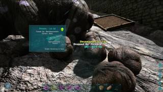 What is Phiomia good for  ARK Survival Evolved [upl. by Secor]