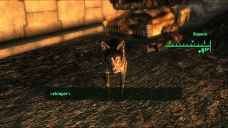 Fallout 3 Finding Dogmeats Location on the Mapquot [upl. by Vladimir]