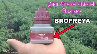 BROFREYA INSECTICIDE दुनिया की सबसे शक्तिशाली किटनासक 🖕🖕 [upl. by Naras]