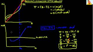 Mikroekonomie2  Nákladové optimum 1 část  pro Vladimíra ekospacecz [upl. by Cross]