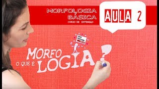 MORFOLOGIA BÁSICA AULA 2  O QUE É MORFOLOGIA [upl. by Hgieleak]