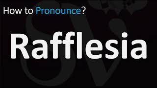 How to Pronounce Rafflesia CORRECTLY [upl. by Abehshtab]