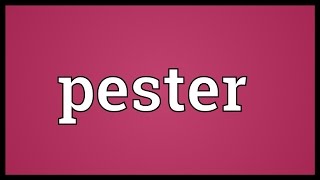 Pester Meaning [upl. by Toblat]