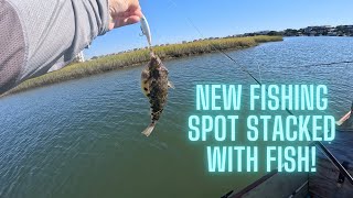 Incredible New Saltwater Fishing Destination Uncovered fishingvideo fishing saltwaterfishing [upl. by Mehsah495]