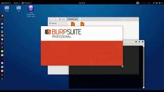 burp suite new version pro 1730 windows and linux 2018 [upl. by Lipscomb]