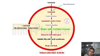 Drugs acting on anti tubercular agents PharmacologyIII UnitIII [upl. by Deane132]