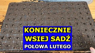 KONIECZNIE Wysiej te Warzywa w Połowie Lutego Co siać sadzić w Lutym Kalendarz Ogrodnika Warzywnika [upl. by Ahsienad666]