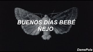 Ñejo  Buenos días bebe Letra Lyrics [upl. by Hailahk]