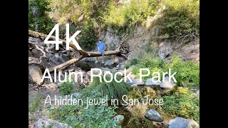 4k Alum Rock Park A Hidden Jewel Of Bay Area [upl. by Annadiane379]