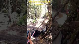 Bernard Kerr shredding up red bull hardline Tasmania 2024 [upl. by Ripley9]