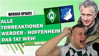 SV Werder Bremen  TSG Hoffenheim  23 Alle Torreaktionen  Es tut so weh [upl. by Ahseined]