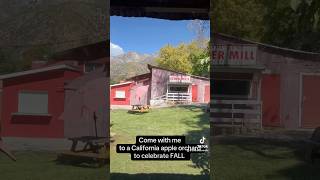 Apple cider donut run fall autumn apple orchard [upl. by Ydospahr]