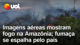 Queimadas no Brasil Imagens aéreas mostram fogo destruindo regiões da floresta amazônica [upl. by Ardnas]