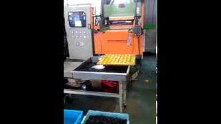 Vacuum Rubber Vulcanizing Press [upl. by Olathe584]