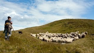 Gheorghe Zamfir amp James Last Orchestra  Lonely shepherd [upl. by Etyak]