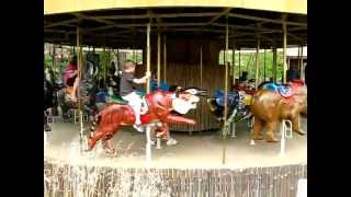 MerryGoRound Carousel at the Indianapolis Zoo [upl. by Celesta924]