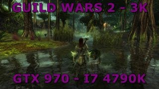 Guild Wars 2 Maxed I 3K DSR  GTX 970 I i7 4790K [upl. by Yrrat]