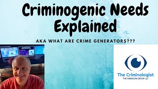 Criminogenic Needs explained [upl. by Lichtenfeld894]