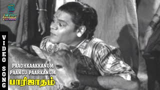 Paadhkaakkanum Paangu Paarkanum Video Song  Parijatham  TR Mahalingam MVRajamma  MusicStudio [upl. by Dwight]