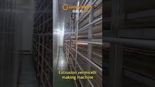 Extrusion vermicelli making machine starch noodle processing machine [upl. by Bevus515]