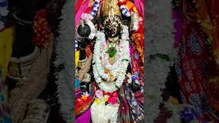 Jaya Maa Mangala🙌Todays Darshan of MaaMangala 141024KakatpurPapankushaEkadashiSomvarDarshan [upl. by Noirrad]