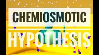 Chemiosmotic Hypothesis  ATP synthesis [upl. by Wiersma]