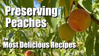 Versatile delicious and decadent PEACH recipes that you can preserve and HOW to use them [upl. by Adlar]