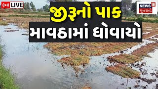 🟠Unseasonal Rain Gujarat LIVE  માવઠાએ બગાડી શિયાળુ પાકની સિઝન  Farmers  Crop Damage  News 18 [upl. by Manny]