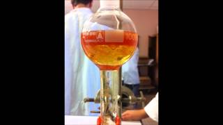 protocole extraction du lycopène du jus de tomate [upl. by Naejeillib]