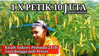 Petani Muda 24 Tahun Sukses Hasilkan PULUHAN JUTA Tiap Minggu Dari Bertani Cabe [upl. by Gruver]