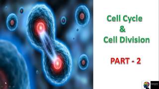 150 Marks Guaranteed CELL CYCLE AND DIVISION  Quick Revision 1 Shot  Botany for NEET [upl. by Sena]