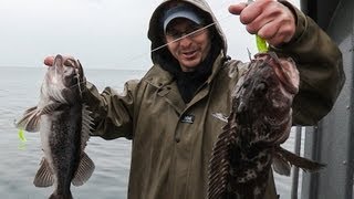 Oregon Coast Rockfish amp Lingcod [upl. by Cantone]