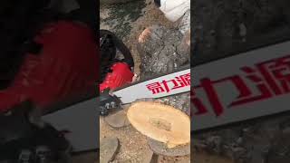 16inch lithium battery cutting is very goodchainsaws hardware tools viralvideo foryou [upl. by Ynnelg]