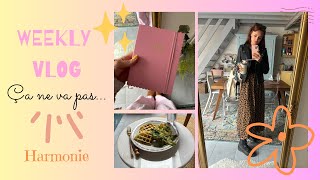 Weekly vlog Ca ne va pas [upl. by Sholem]