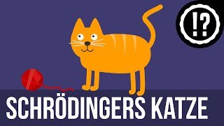 Schrödingers Katze einfach erklärt [upl. by Coleville]