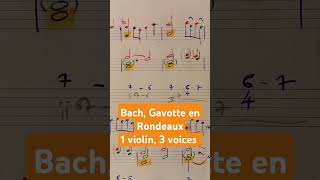 Bach Gavotte en Rondeaux bach musictheory violin partita analysis shorts counterpoint [upl. by Hnacogn776]