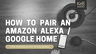 Lithe Audio Bluetooth  How to Pair an Amazon Alexa [upl. by Constanta273]