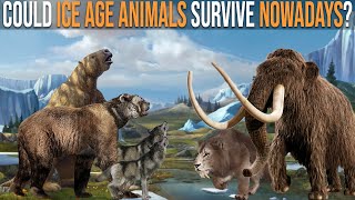 Could Ice Age Megafauna Survive Nowadays [upl. by Emrich965]