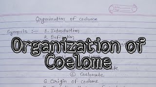 Organization And Definition of Coelome Tyeps Evolution theories msc2021 mscnotes [upl. by Hewitt488]