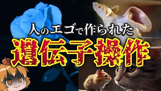 【魔改造】遺伝子操作によって生み出されたヤバい生き物4選 [upl. by Mroz]