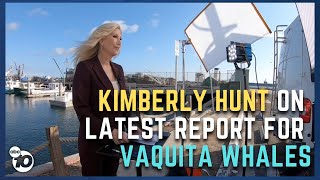 Anchor Kimberly Hunt looks into optimistic report on endangered Vaquita whales [upl. by Nywloc]