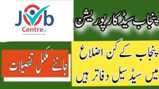 Punjab Seed Corporation Jobs 2024  New 🆕 jobs  Punjab jobs  Apply now for jobs in Pakistan [upl. by Roleat502]