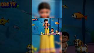 Machli Jal Ki Rani hai  Hindi Rhymes  Cartoon Video Short Hindi Poem  Kids Tv Nursery Rhymes [upl. by Mak81]