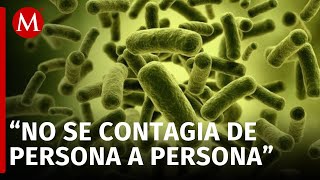 Secretaría de Salud emiten alerta epidemiológica por la bacteria Klebsiella Oxytoca [upl. by Ecnahs]