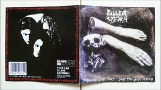 Pungent Stench  Intro  Extreme Deformity [upl. by Tilla]